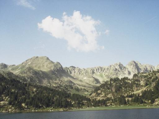 Image0028.web.jpg