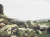 [thumbnail of Picture 30]