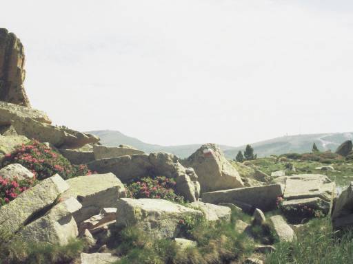 Image0031.web.jpg