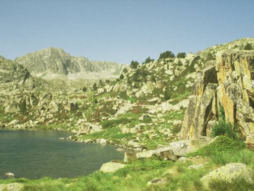 Image0032.web.jpg