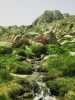[thumbnail of Picture 34]