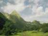 [thumbnail of Picture 7]