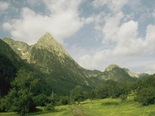 Image0043.web.jpg