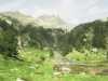 [thumbnail of Picture 8]