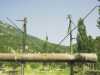 [thumbnail of Picture 13]