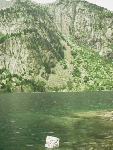 Image0064.web.jpg