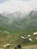 [thumbnail of Picture 36]