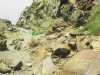 [thumbnail of Picture 37]