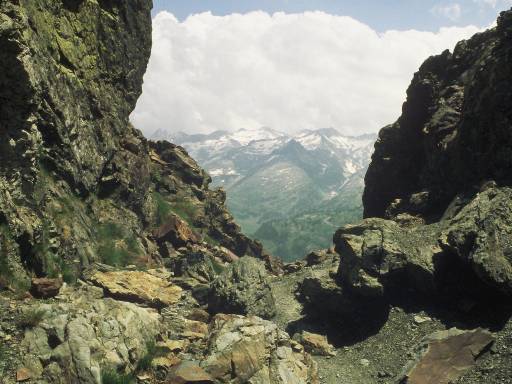 Image0004.web.jpg