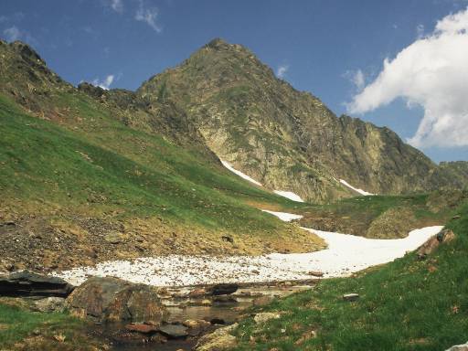 Image0006.web.jpg