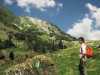 [thumbnail of Picture 10]