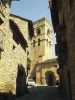 [thumbnail of Picture 16]