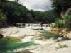 [thumbnail of Picture 26]