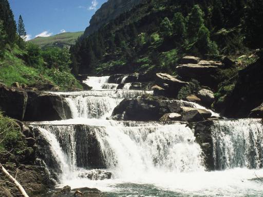 Image0036.web.jpg