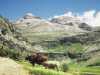 [thumbnail of Picture 5]