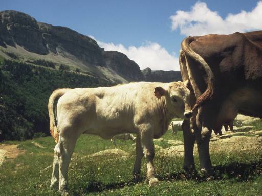 Image0043.web.jpg