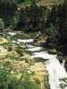 [thumbnail of Picture 15]