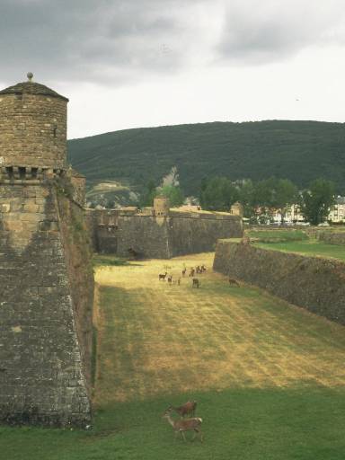 Image0059.web.jpg