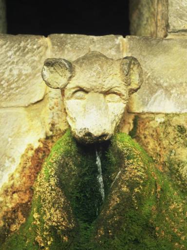 Image0064.web.jpg