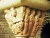 [thumbnail of Picture 28]