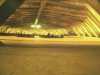 [thumbnail of Picture 15]