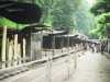 [thumbnail of Picture 17]