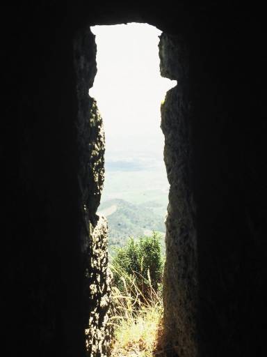 Image0100.web.jpg