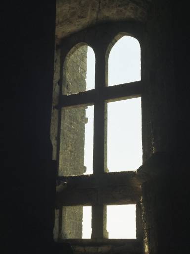 Image0103.web.jpg