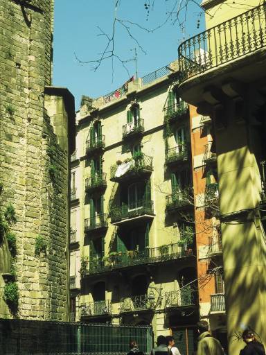 Image0028.web.jpg