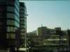 [thumbnail of Picture 17]