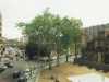 [thumbnail of Picture 28]