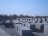 [thumbnail of Picture 3]