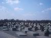 [thumbnail of Picture 5]