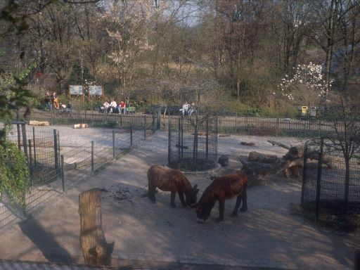 Image017.web.jpg