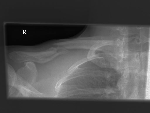 Image00002.web.jpg