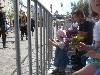 [thumbnail of Picture 6]