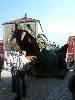 [thumbnail of Picture 11]