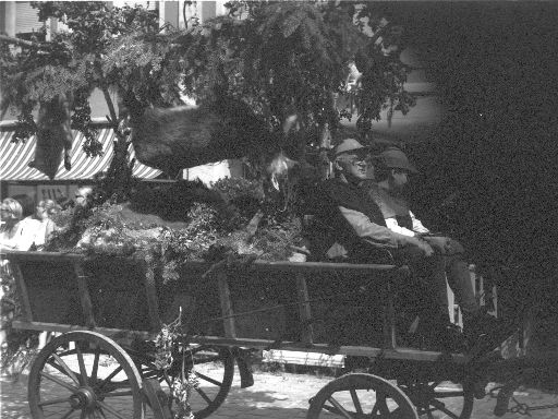 Image2465.web.jpg