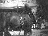 [thumbnail of Picture 9]