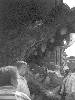 [thumbnail of Picture 15]