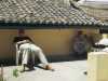 [thumbnail of Picture 4]