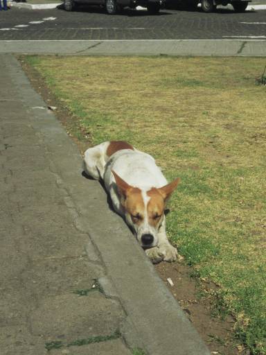 ImageImage0032.web.jpg