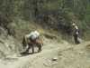 [thumbnail of Picture 22]