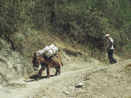 ImageImage0057.web.jpg