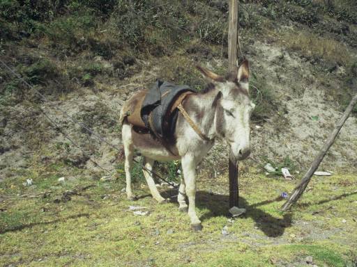 ImageImage0060.web.jpg