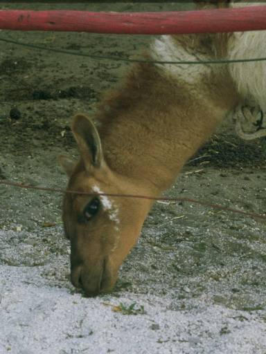 ImageImage0001.web.jpg