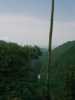 [thumbnail of Picture 7]