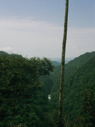 ImageImage0008.web.jpg