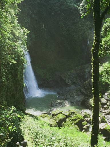ImageImage0011.web.jpg