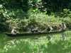 [thumbnail of Picture 15]
